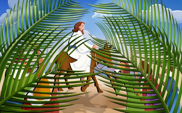 Celebrazione S. Messa delle Palme